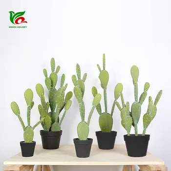 More Meat Plant Model Cactus Cactus Medium and Small Artificial Model Plant Decoration Bonsai
More Meat Plant Model Cactus Cactus Medium and Small Artificial Model Plant Decoration Bonsai