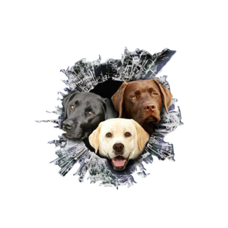 Personality Labrador 3D Pet Car Sticker Vinyl Waterproof Car Window Accessories Decorative Boot Art Pattern PVC 13cm X 12cm
Personality Labrador 3D Pet Car Sticker Vinyl Waterproof Car Window Accessories Decorative Boot Art Pattern PVC 13cm X 12cm