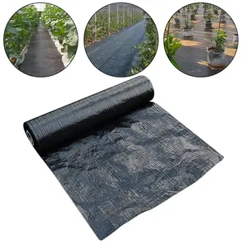 Weed Barrier Heavy Duty Weed Control Fabric Ground Cover Membrane Garden Landscape Weed Block Nonwoven Barrier Driveway Weed Mat
Weed Barrier Heavy Duty Weed Control Fabric Ground Cover Membrane Garden Landscape Weed Block Nonwoven Barrier Driveway Weed Mat
