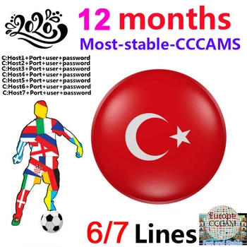 2020 Newest Fast Stable Europe 7 lines Cccam For 1 Year Turkey Satellite Share Server Support DVB-S2 Satellite Receiver
2020 Newest Fast Stable Europe 7 lines Cccam For 1 Year Turkey Satellite Share Server Support DVB-S2 Satellite Receiver