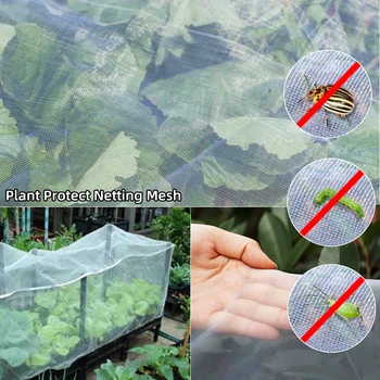 Plant Mesh Netting Large Garden Crop Plant Protection Net Anti Bird Pest Insect Animal Vegetable Care Big Mesh Nets 2.5x10m
Plant Mesh Netting Large Garden Crop Plant Protection Net Anti Bird Pest Insect Animal Vegetable Care Big Mesh Nets 2.5x10m
