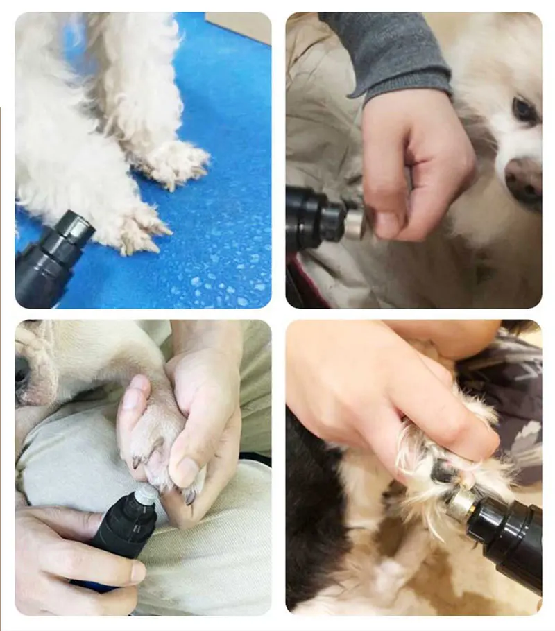 Cortador de unha de Cachorro e Gatos | Carregamento USB