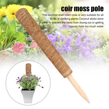Household Stake Climbing Vine Plants Support Coir Moss Pole Extension Indoor Totem Stick Yard Grow Frame Creepers Home Garden
Household Stake Climbing Vine Plants Support Coir Moss Pole Extension Indoor Totem Stick Yard Grow Frame Creepers Home Garden