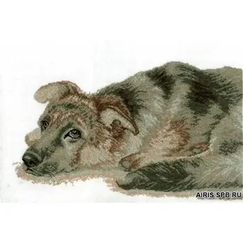 "floss embroidery kit", "cross stitch", "canvas", "counted cross stitching", "floss threads", "counted cross stitching", "embroidery kit", "Hobby & Pro" 
"floss embroidery kit", "cross stitch", "canvas", "counted cross stitching", "floss threads", "counted cross stitching", "embroidery kit", "Hobby & Pro"