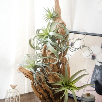 Home Decoration Supplies Hairy Pineapple Air Grass Handmade Plastic Wedding Crepe Simulation Fake Flower Plant Window Decoration
Home Decoration Supplies Hairy Pineapple Air Grass Handmade Plastic Wedding Crepe Simulation Fake Flower Plant Window Decoration