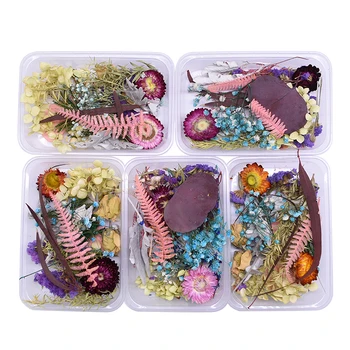 1 Box Assorted Mix Real Dried Flower Natural Dry Plants Scrapbooking Epoxy Resin Ornament Jewellery Making DIY Art Accessories 
1 Box Assorted Mix Real Dried Flower Natural Dry Plants Scrapbooking Epoxy Resin Ornament Jewellery Making DIY Art Accessories