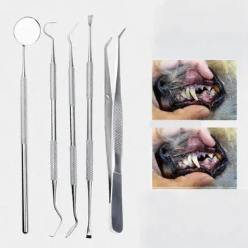 Dental Stones Scraper Pets Teeth Cleaning Tools Kit Double Sided Dogs Cats Tartar Remover To Remove Pet Tartar Calculus Plaque
Dental Stones Scraper Pets Teeth Cleaning Tools Kit Double Sided Dogs Cats Tartar Remover To Remove Pet Tartar Calculus Plaque
