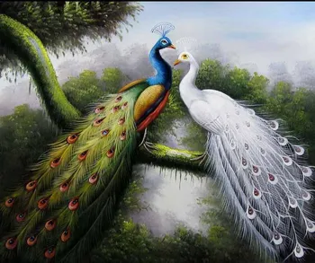 Hand-Painted Canvas Peacock Oil Painting Wall Paintings Modern Home Decor Animal Wall Art Home Decorative Painting
Hand-Painted Canvas Peacock Oil Painting Wall Paintings Modern Home Decor Animal Wall Art Home Decorative Painting