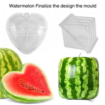 Strong Watermelon Mould 2 Shape Garden Farmland Plant Watermelon Mold Pumpkin Mould PE Transparent Fruit Botany Melon Grower
Strong Watermelon Mould 2 Shape Garden Farmland Plant Watermelon Mold Pumpkin Mould PE Transparent Fruit Botany Melon Grower