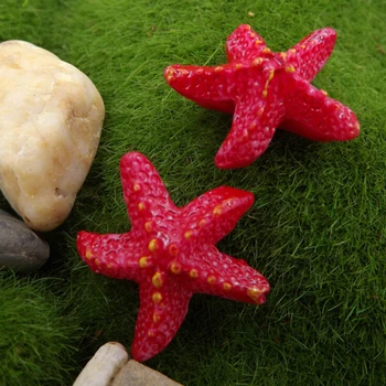 2 Pcs Resin Starfish Fairy Garden Miniatures Starfish Terrarium Figurines Miniature Garden Decoration Miniature Fairy Figurines 
2 Pcs Resin Starfish Fairy Garden Miniatures Starfish Terrarium Figurines Miniature Garden Decoration Miniature Fairy Figurines