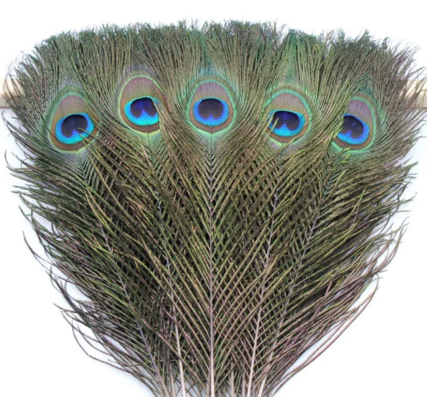 10pcs/Lot Natural Peacock Feathers 25-50cm Crafts Carnival Plumes Jewelry earrings DIY Making Ornament Christmas Costume a2041
10pcs/Lot Natural Peacock Feathers 25-50cm Crafts Carnival Plumes Jewelry earrings DIY Making Ornament Christmas Costume a2041