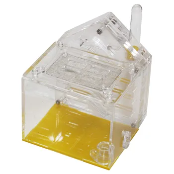 Transparent Acrylic Breed Villa Insect Moisturizing House Pet Home DIY Small Farm Ant Nest With Feeding Area
Transparent Acrylic Breed Villa Insect Moisturizing House Pet Home DIY Small Farm Ant Nest With Feeding Area