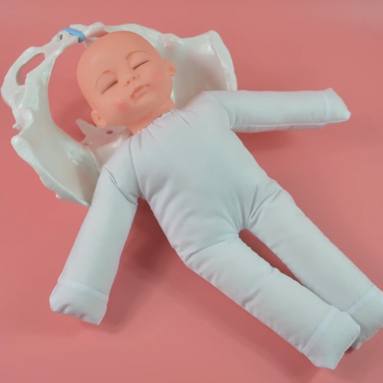 Female Labor Demonstration Pelvis Model Including Baby Pelvis Midwifery Delivery Demonstration
Female Labor Demonstration Pelvis Model Including Baby Pelvis Midwifery Delivery Demonstration