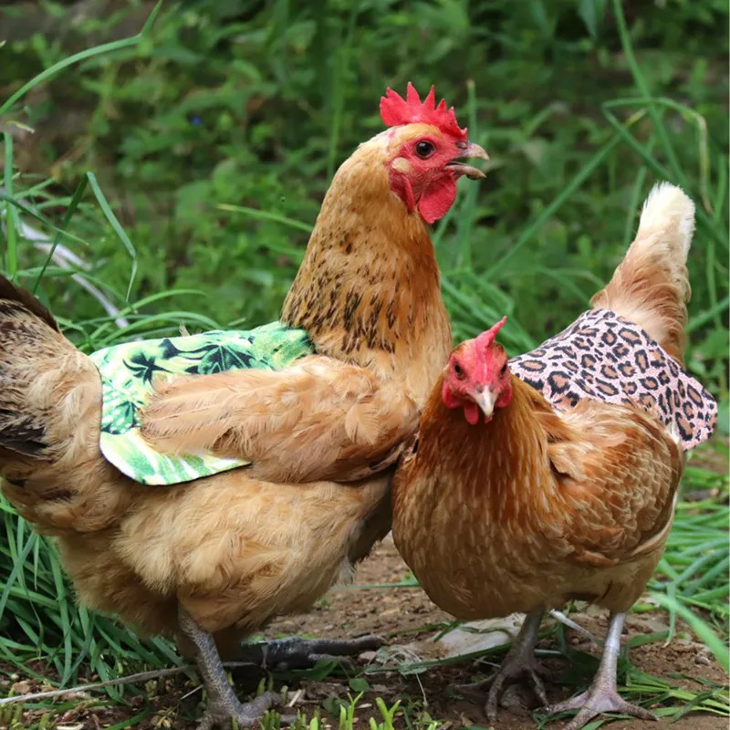 Adjustable Pet Clothes Hen Apron Poultry Hen Saddle Apron Feather Protection Holder Chicken Duck Wings Back Protector Hen Dress
Adjustable Pet Clothes Hen Apron Poultry Hen Saddle Apron Feather Protection Holder Chicken Duck Wings Back Protector Hen Dress