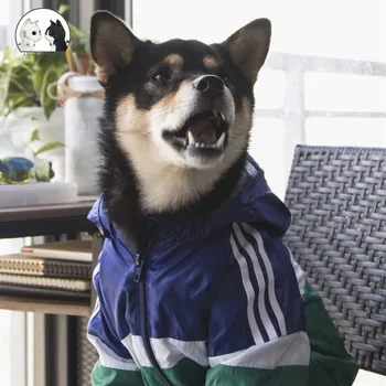 Waterproof Dog Clothes for Large Dogs Pet Sports Hoodies Rain Coats Thicken Outdoor Jacket Puppy Raincoat Costume Pet Supplies
Waterproof Dog Clothes for Large Dogs Pet Sports Hoodies Rain Coats Thicken Outdoor Jacket Puppy Raincoat Costume Pet Supplies