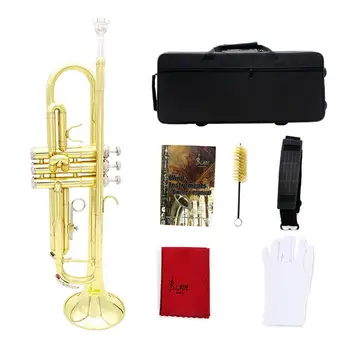 SLADE Brass Bb Trumpet Kit for Professional Beginner 
SLADE Brass Bb Trumpet Kit for Professional Beginner