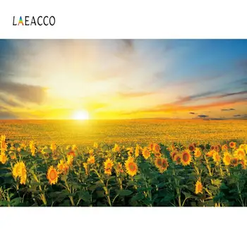 Laeacco Field Sunflower Meadow Sunlight Grassland Photography Background Vinyl Customize Photographic Backdrops For Photo Studio
Laeacco Field Sunflower Meadow Sunlight Grassland Photography Background Vinyl Customize Photographic Backdrops For Photo Studio