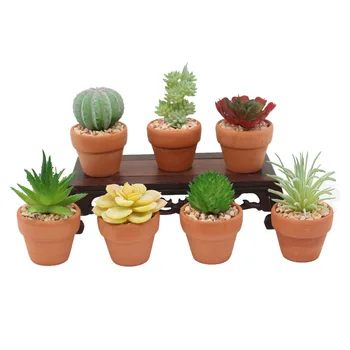 Small Artificial Succulents Plants with Vase Garden Miniature DIY Home Floral Decoration Wedding Office Decorative Plant
Small Artificial Succulents Plants with Vase Garden Miniature DIY Home Floral Decoration Wedding Office Decorative Plant