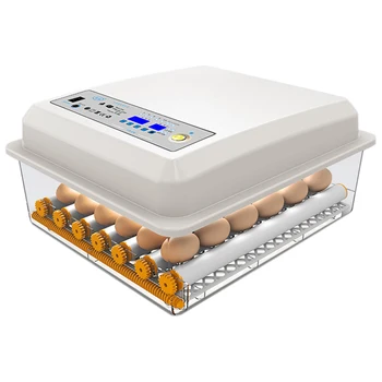 Hatchery Incubator Brooder Machine Egg Hatchers Chicken Automatic Eggs Incubator With Turner Bird Quail Brooder,US Plug
Hatchery Incubator Brooder Machine Egg Hatchers Chicken Automatic Eggs Incubator With Turner Bird Quail Brooder,US Plug