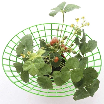 10PCS Strawberry Stand Frame Holder Balcony Planting Rack Fruit Support Plant Flower Climbing Vine Pillar Gardening Stand
10PCS Strawberry Stand Frame Holder Balcony Planting Rack Fruit Support Plant Flower Climbing Vine Pillar Gardening Stand
