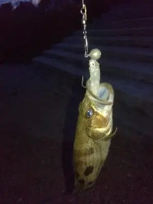 Lure Soft Bait Lead Plating Fish Set Catfish ruan yu Night Light Lure Long Shot Sea Freshwater Bass Topmouth Culter Salmon
Lure Soft Bait Lead Plating Fish Set Catfish ruan yu Night Light Lure Long Shot Sea Freshwater Bass Topmouth Culter Salmon