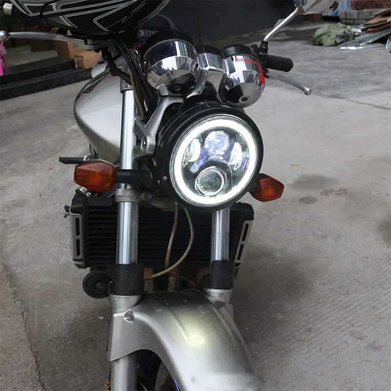 31