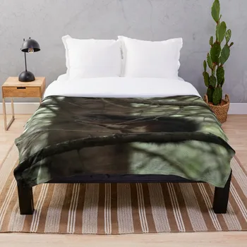 Squirrel Throw Blanket Soft Sherpa Blanket Bed Sheet Single Knee Blanket Office Nap Blanket
Squirrel Throw Blanket Soft Sherpa Blanket Bed Sheet Single Knee Blanket Office Nap Blanket