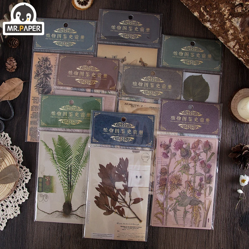 Mr.paper 8 Designs 10Pcs/lot Plant Vintage Handbook Scrapbooking Cool Bullet Journal Toy Plants Album DIY Stationery Stickers
Mr.paper 8 Designs 10Pcs/lot Plant Vintage Handbook Scrapbooking Cool Bullet Journal Toy Plants Album DIY Stationery Stickers