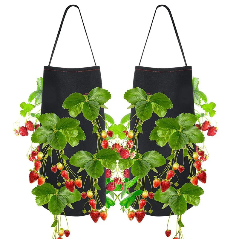 Felt Plant Grow Bag Hanging Type For Strawberry Tomato Cayenne Pepper Garden Supplies
Felt Plant Grow Bag Hanging Type For Strawberry Tomato Cayenne Pepper Garden Supplies
