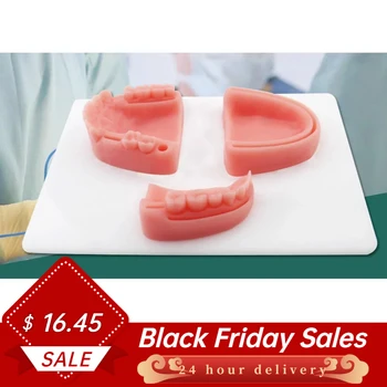 Anatomy Oral Dental Suture Training Module Gingival Suture Training Periodontitis Suture Training Dentists Recommend
Anatomy Oral Dental Suture Training Module Gingival Suture Training Periodontitis Suture Training Dentists Recommend