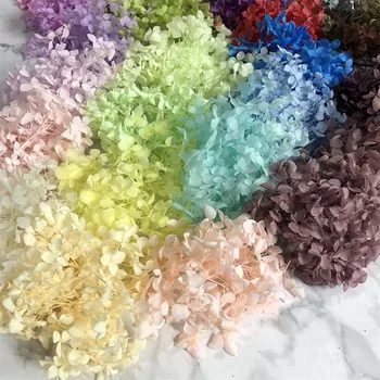Natural Fresh Preserved Flowers Dried Hydrangea Flower Head For DIY Real Eternal Life Flowers Material For Party Decoration 
Natural Fresh Preserved Flowers Dried Hydrangea Flower Head For DIY Real Eternal Life Flowers Material For Party Decoration