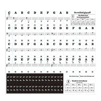 88 Keys 61 Keys 54 Keys Transparent Piano Keyboard Stickers Electronic Keyboards Stickers Tabs Musical Notes Key Stickers
88 Keys 61 Keys 54 Keys Transparent Piano Keyboard Stickers Electronic Keyboards Stickers Tabs Musical Notes Key Stickers