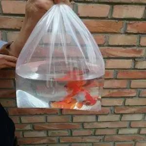 High Quality Breathing Bag Aquarium Fish Bag For Aquarium Transportation 2 Hd598a93c3687490f81dc4e40e5e300623