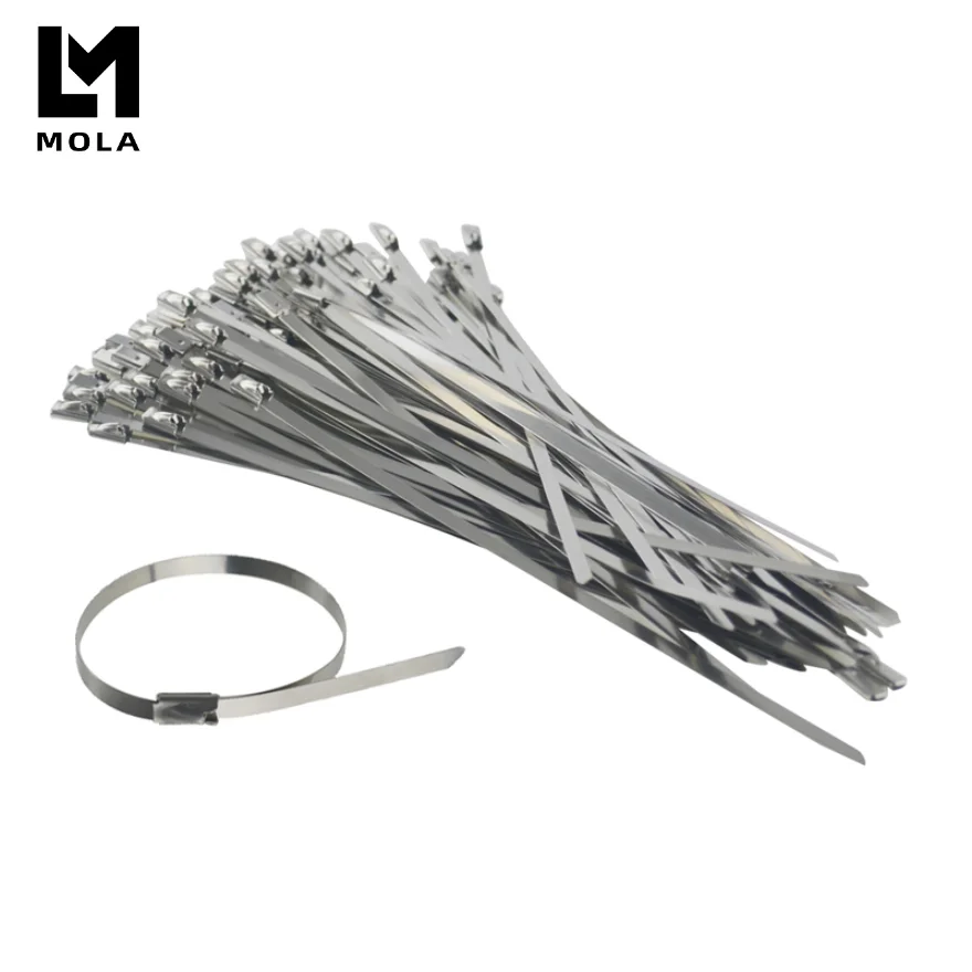 100pcs 12"x200mm/300mm Stainless Steel Cable Ties, Locking Metal Zip-Exhaust Wrap Coated Multi-Purpose Locking Cable Ties 12inch
100pcs 12"x200mm/300mm Stainless Steel Cable Ties, Locking Metal Zip-Exhaust Wrap Coated Multi-Purpose Locking Cable Ties 12inch