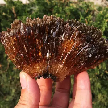 1pcs Natural yellow amber calcite raw stone crystal gem collection of rough rock mineral specimens healing home decor
1pcs Natural yellow amber calcite raw stone crystal gem collection of rough rock mineral specimens healing home decor