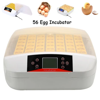 Intelligent Full-automatic Egg Incubator Hatcher 56 Eggs Hatching Machine For Chicken Duck Transparent Plastic
Intelligent Full-automatic Egg Incubator Hatcher 56 Eggs Hatching Machine For Chicken Duck Transparent Plastic