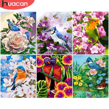 HUACAN Coloring By Number Flower Bird Gift DIY Pictures Painting By Number Animal Home Decor Drawing On Canvas HandPainted Art 
HUACAN Coloring By Number Flower Bird Gift DIY Pictures Painting By Number Animal Home Decor Drawing On Canvas HandPainted Art