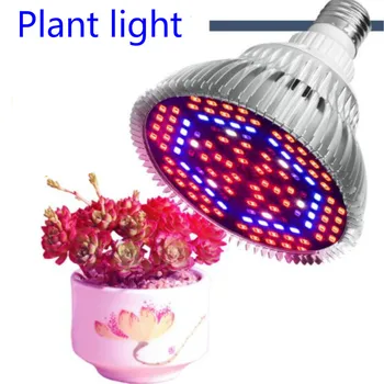 High Efficient LED Grow Llight Full Spectrum E27 110V 220V 30W 50W 80W SMD5730 Plants Lamp For Flower Plant Indoor Lighting
High Efficient LED Grow Llight Full Spectrum E27 110V 220V 30W 50W 80W SMD5730 Plants Lamp For Flower Plant Indoor Lighting