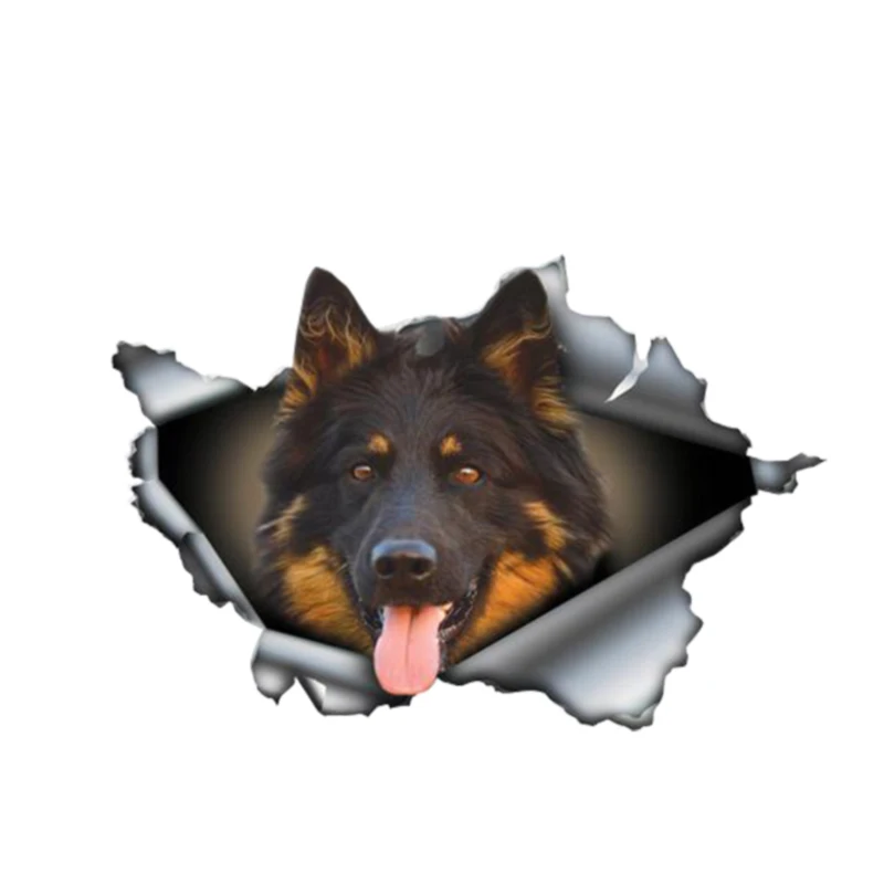 Personality Car Sticker Chodsky 3D Vinyl Waterproof Car Window High Quality Accessories Vinyl Decorative PVC 13cm X 9cm
Personality Car Sticker Chodsky 3D Vinyl Waterproof Car Window High Quality Accessories Vinyl Decorative PVC 13cm X 9cm