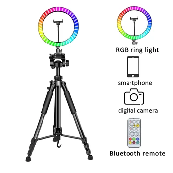 Lightweight Mobile Phone Stand Camera Tripod with Ring Light Selfie Stick Bluetooth Remote Phone Clip for Video Studio Photo
Lightweight Mobile Phone Stand Camera Tripod with Ring Light Selfie Stick Bluetooth Remote Phone Clip for Video Studio Photo
