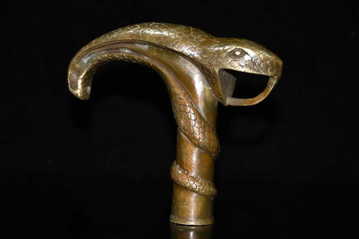 Collection of Chinese Retro Brass Snake Head Cane Head Statue Handle Accessories
Collection of Chinese Retro Brass Snake Head Cane Head Statue Handle Accessories