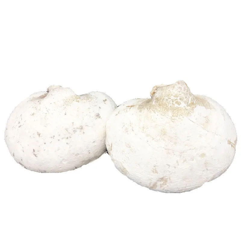 White Ganoderma White Ganoderma Lucidum Improve Immunity And Anti-fatigue Health Products
White Ganoderma White Ganoderma Lucidum Improve Immunity And Anti-fatigue Health Products