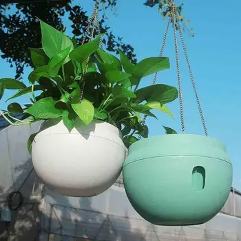 Multicolor Modern Style Automatic Watering Flower Pot Indoor And Outdoor Hanging Automatic Suction Wateri Flower Pot With Hook
Multicolor Modern Style Automatic Watering Flower Pot Indoor And Outdoor Hanging Automatic Suction Wateri Flower Pot With Hook