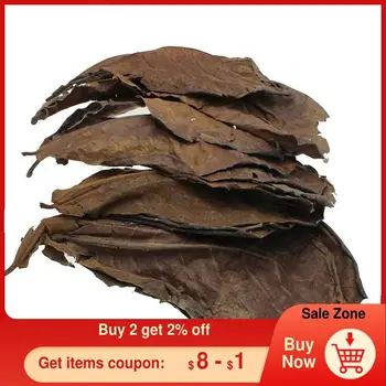 10pcs high quality Natural Terminalia Catappa Leaves,Indian almond Lour tree Olive leaf for aquarium water to balance PH Acidity
10pcs high quality Natural Terminalia Catappa Leaves,Indian almond Lour tree Olive leaf for aquarium water to balance PH Acidity