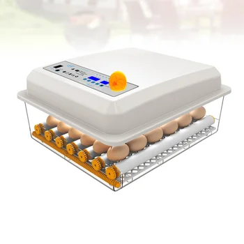 1pc Reproduction Container Household Incubator Automatic Incubation Case for Bird Chicken Goose Duck
1pc Reproduction Container Household Incubator Automatic Incubation Case for Bird Chicken Goose Duck