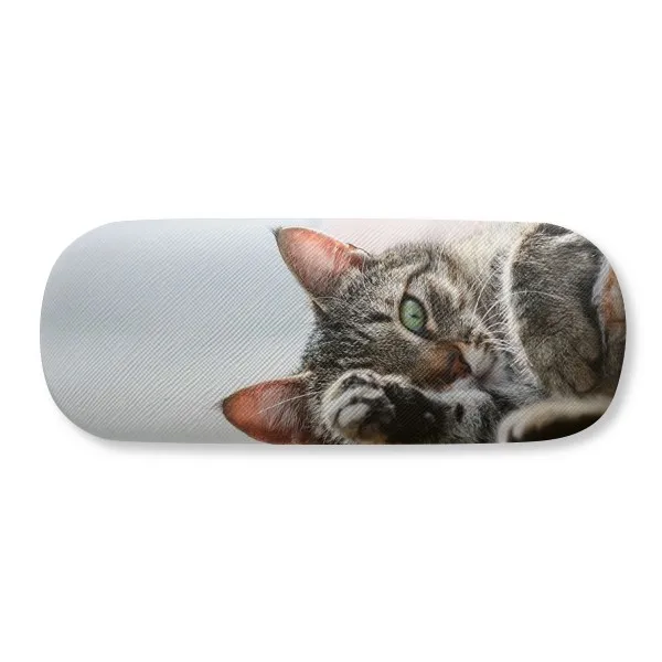 Animal Activity Cat Photograph Picture Glasses Case Eyeglasses Clam Shell Holder Storage Box
Animal Activity Cat Photograph Picture Glasses Case Eyeglasses Clam Shell Holder Storage Box