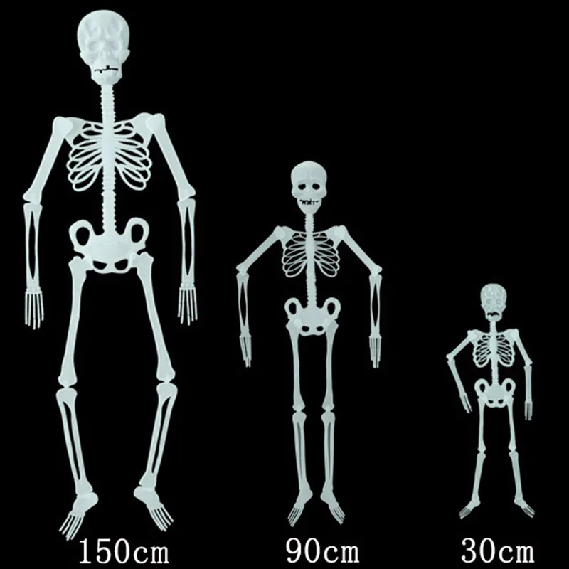 Joy-enlife Fake Skeleton Halloween Trick Plastic Lifelike Skull Bones Arm Figurine Party Decoration Haunted Home 21 Joy-enlife Fake Skeleton Halloween Trick Plastic Lifelike Skull Bones Arm Figurine Party Decoration Haunted Home -Cosplayware Store Hd62d43d279bf459f970cc432c63c4c33A.jpg