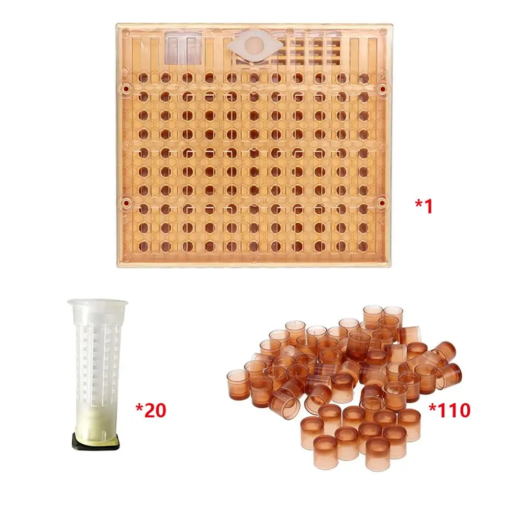 Beekeeping Bee Tool 110 Cell Cups Set Queen Rearing System Nicot Complete Catcher Cage Apiculture Helper Equipment Cup Cups Kit
Beekeeping Bee Tool 110 Cell Cups Set Queen Rearing System Nicot Complete Catcher Cage Apiculture Helper Equipment Cup Cups Kit