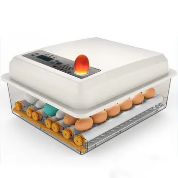 220V Eggs Incubator Full Automatic Farm Incubation Tools Brooder Bird Quail Incubator Chick Hatchery Incubator Poultry Hatcher
220V Eggs Incubator Full Automatic Farm Incubation Tools Brooder Bird Quail Incubator Chick Hatchery Incubator Poultry Hatcher