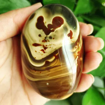 Natural stone Marine palm healing crystals Decorative collection stones and crystals 
Natural stone Marine palm healing crystals Decorative collection stones and crystals